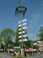 maibaumsetzen niemberg