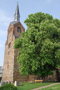 kastanie guetzer kirche