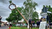 maibaum © Alte Brennerei Niemberg e.V.