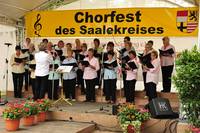 Das Chorfest des Saalekreises - hier mit dem Frauenchor Landsberg - machte schon Station im Niemberger Park