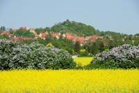 Stadtansicht aus Westen