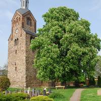 Gützer Kirche mit blühender Kastanie