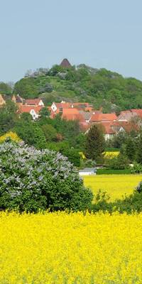 Stadtansicht aus Westen