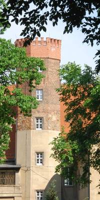 Das Schloss Reinsdorf