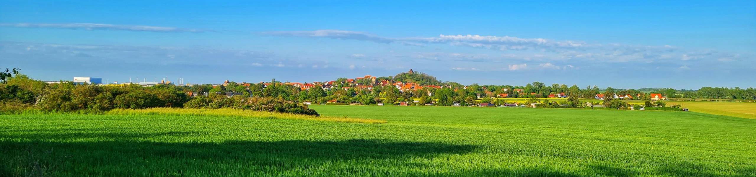 landsberg rand porphyrkuppenlandschaft 2