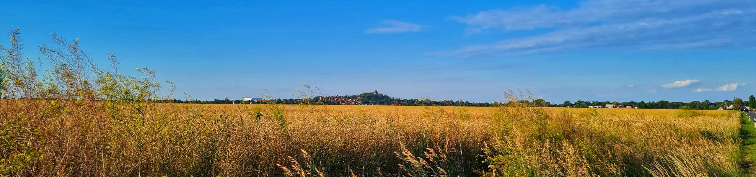 zwischen reussen reinsdorf