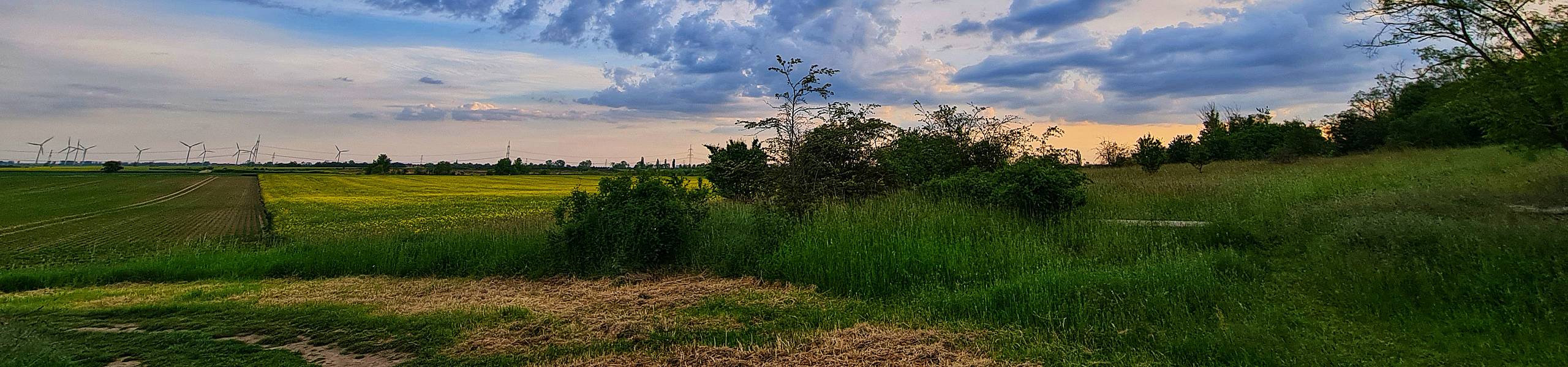 slide porphyrkuppenlandschaft3