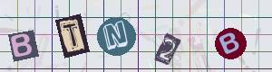 Captcha-Code - Es besteht die Möglichkeit, sich den Captcha-Code vorlesen zu lassen, klicken sie dazu auf den Button mit dem Titel 'Liest den Captcha-Code vor(Audioausgabe)'