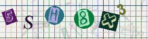 Captcha-Code - Es besteht die Möglichkeit, sich den Captcha-Code vorlesen zu lassen, klicken sie dazu auf den Button mit dem Titel 'Liest den Captcha-Code vor(Audioausgabe)'