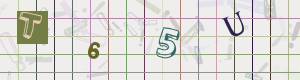 Captcha-Code - Es besteht die Möglichkeit, sich den Captcha-Code vorlesen zu lassen, klicken sie dazu auf den Button mit dem Titel 'Liest den Captcha-Code vor(Audioausgabe)'