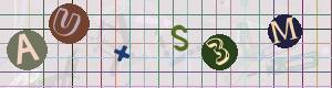 Captcha-Code - Es besteht die Möglichkeit, sich den Captcha-Code vorlesen zu lassen, klicken sie dazu auf den Button mit dem Titel 'Liest den Captcha-Code vor(Audioausgabe)'